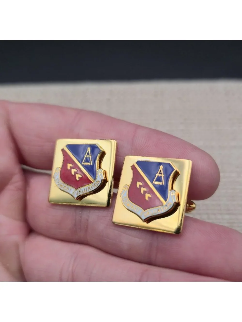 Vintage USAF 1st Combat Evaluation Group Distinctive Unit Insignia DUI Pins A801